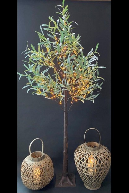 6 Foot Lighted Olive Tree - 120 Warm White LED'S From The Light Garden